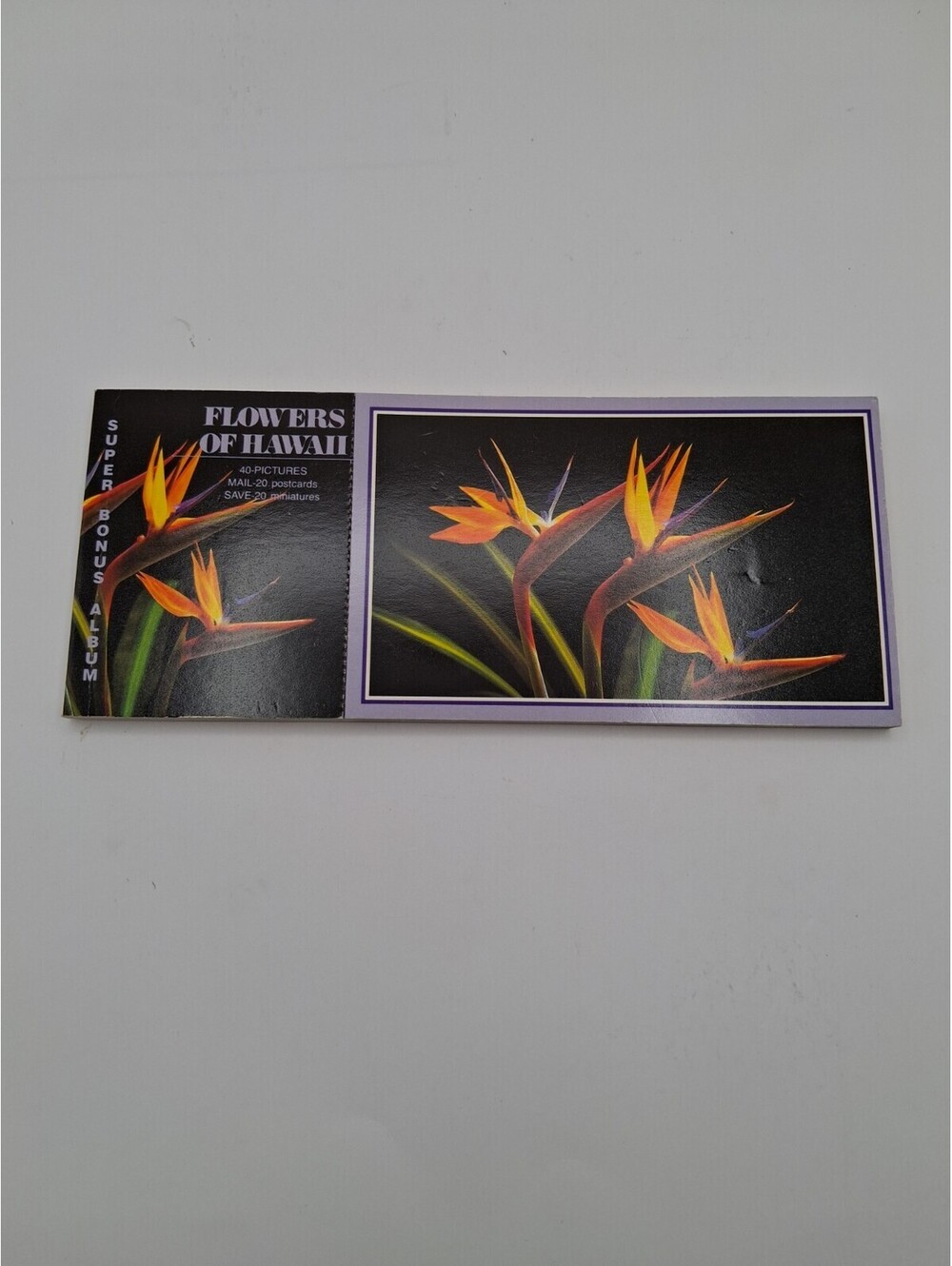 Bird of Paradise Flowers Of Hawaii Postcard Album 40 Souvenir